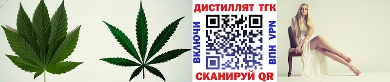где продают   Губкин  ТГК Wax 