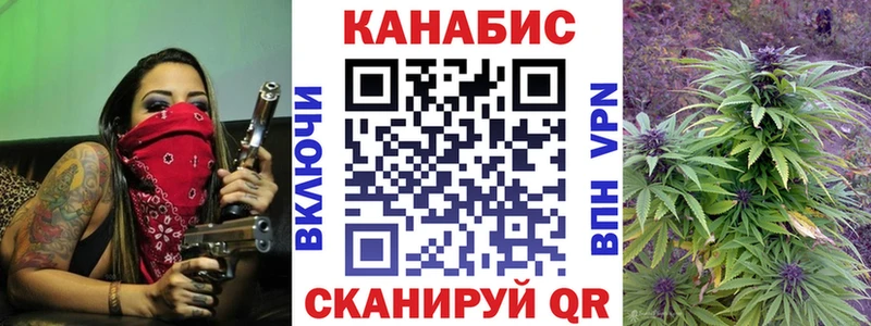 Каннабис гибрид  Губкин 
